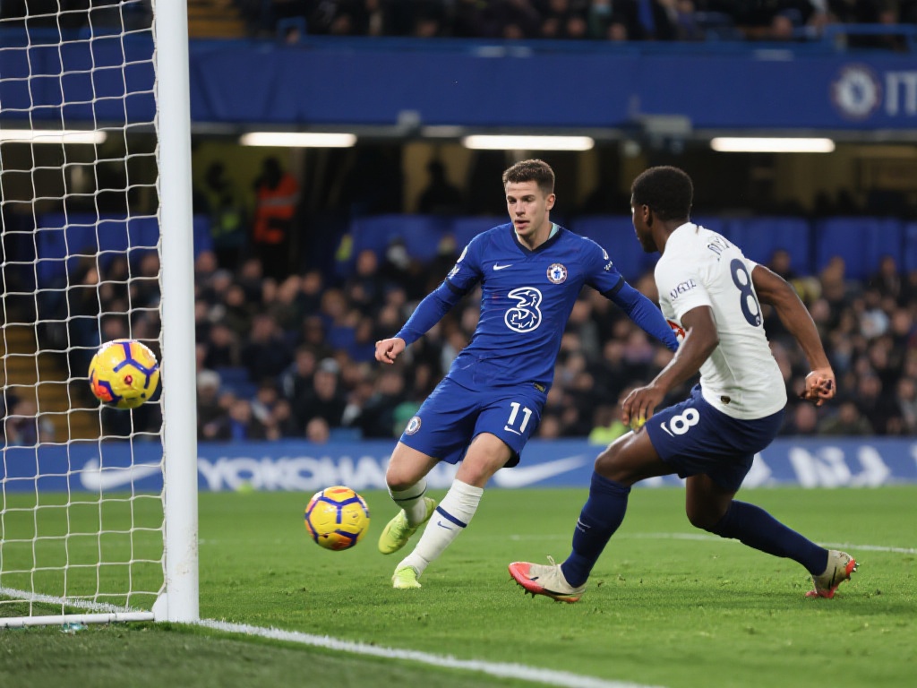 志同道合的 志同道合的