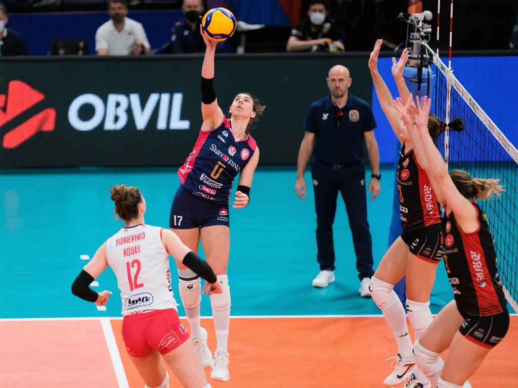 都经过严格 都经过严格