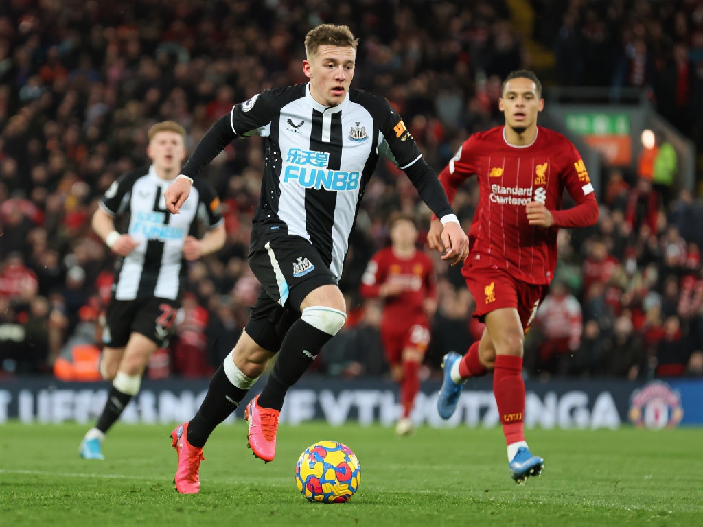 的直播资源 的直播资源